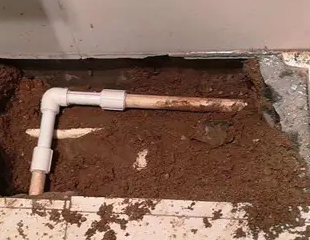 阳江测漏水哪家好