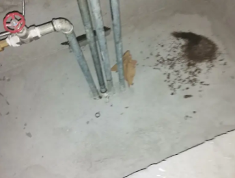 阳江卫生间测漏水价格明细